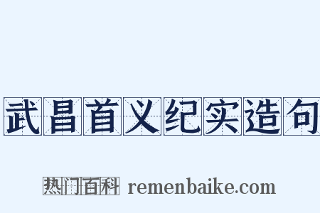 武昌首义纪实造句是什么意思的图片